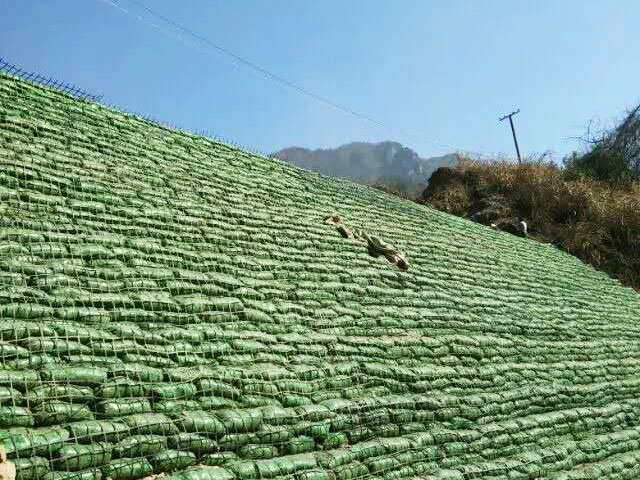 生态袋护坡项目